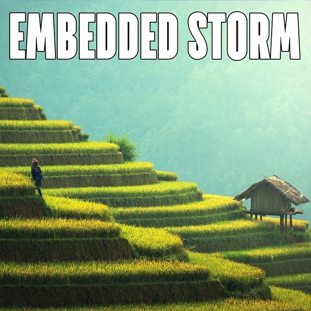 Embedded Storm