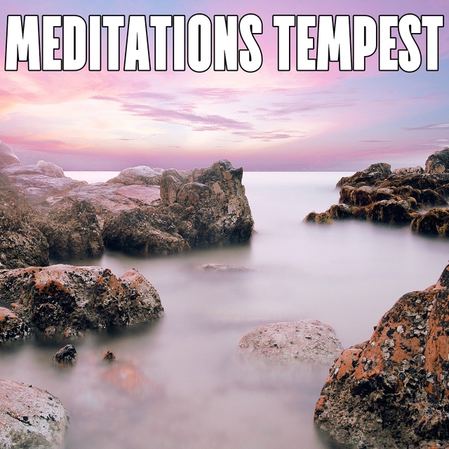 Couverture de Meditations Tempest