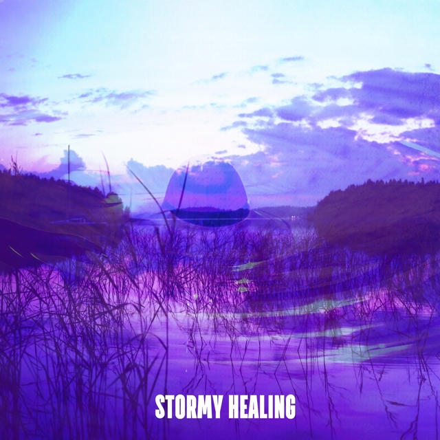 Couverture de Stormy Healing