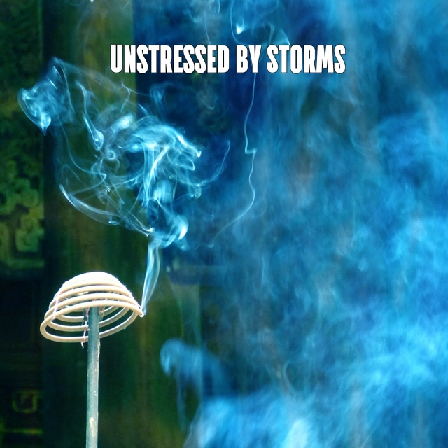 Couverture de Unstressed By Storms