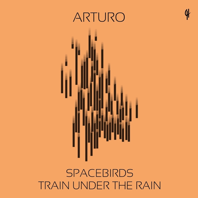 Couverture de Spacebirds / Train Under the Rain