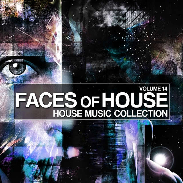 Couverture de Faces of House, Vol. 14