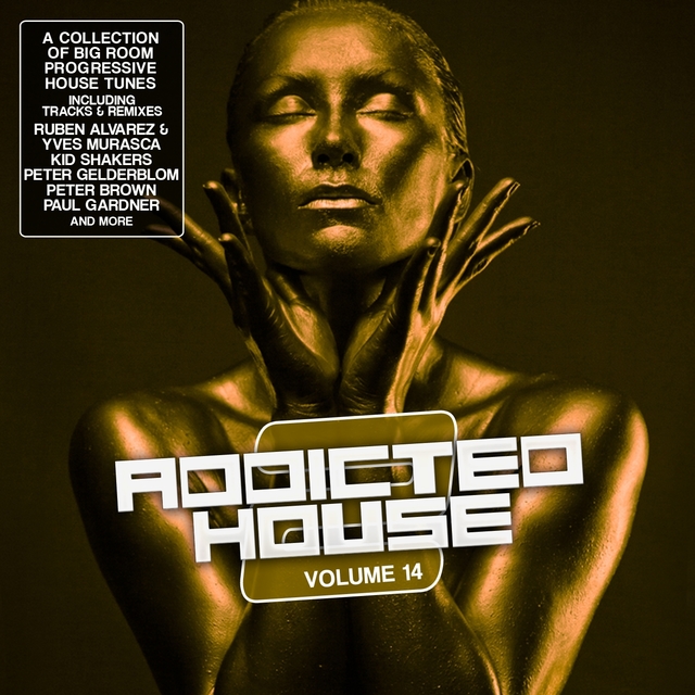 Couverture de Addicted 2 House, Vol. 14