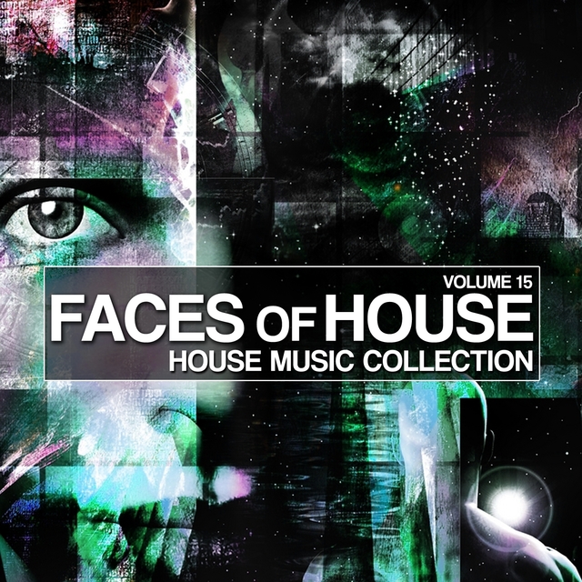 Couverture de Faces Of House, Vol. 15