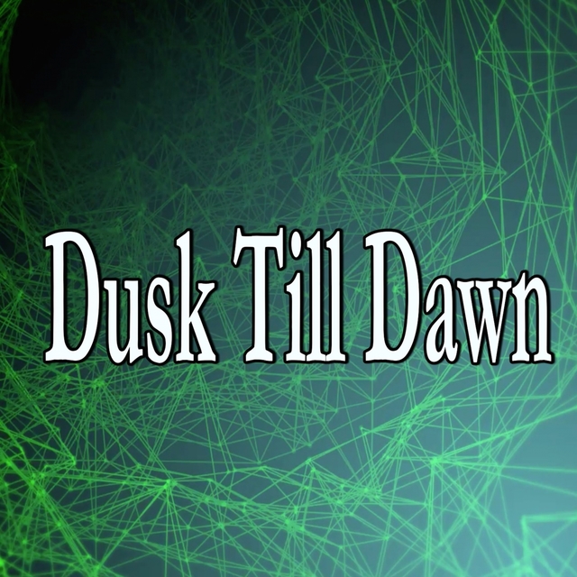 Couverture de Dusk Till Dawn (Homage to Zayn)