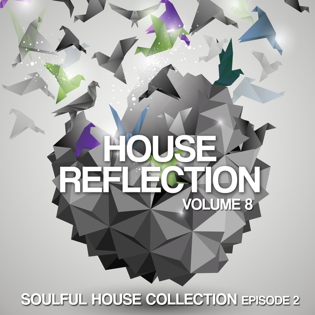 House Reflection, Vol. 8