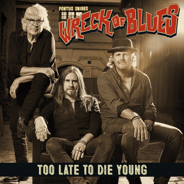 Couverture de Too Late to Die Young