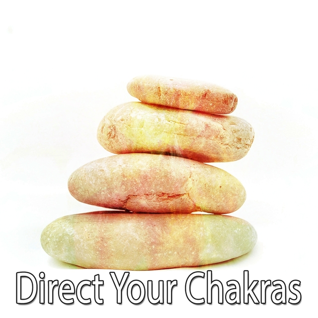 Couverture de Direct Your Chakras