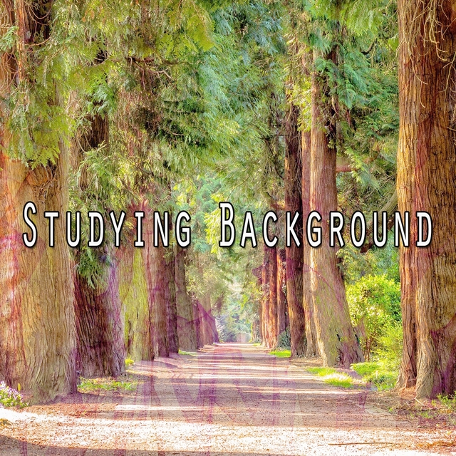 Couverture de Studying Background