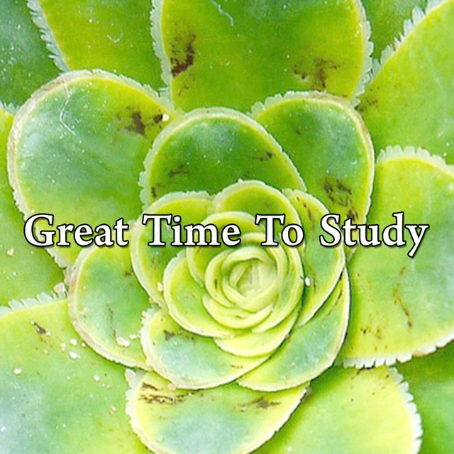 Couverture de Great Time To Study