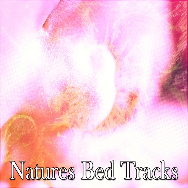 Couverture de Natures Bed Tracks