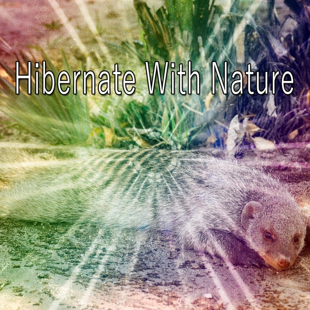 Couverture de Hibernate With Nature