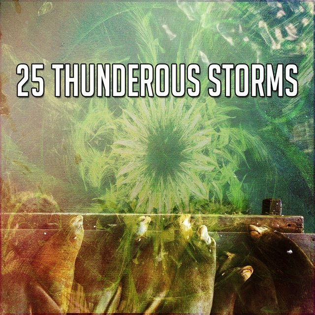 Couverture de 25 Thunderous Storms