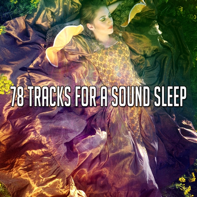 Couverture de 78 Tracks For A Sound Sleep