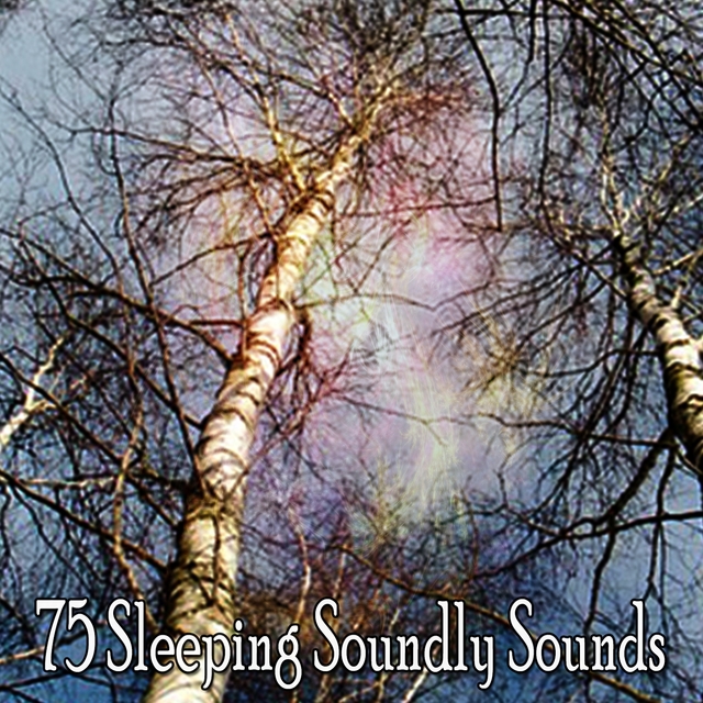 Couverture de 75 Sleeping Soundly Sounds