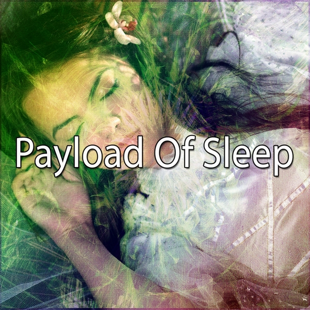 Couverture de Payload Of Sleep