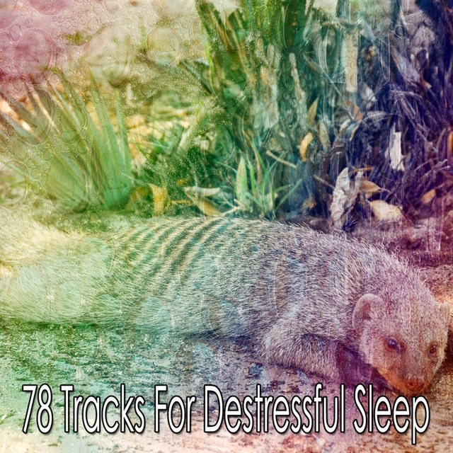 Couverture de 78 Tracks For Destressful Sleep