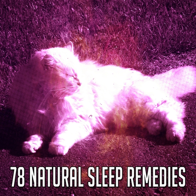 Couverture de 78 Natural Sleep Remedies