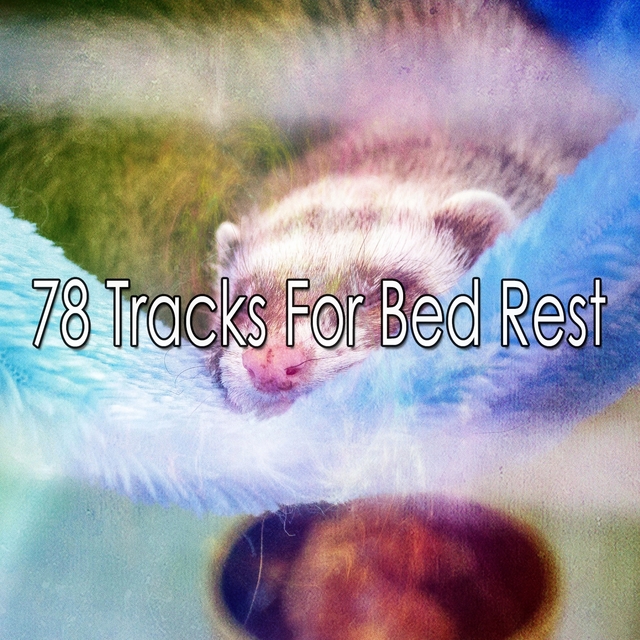 Couverture de 78 Tracks For Bed Rest