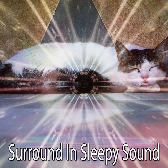 Couverture de Surround In Sleepy Sound