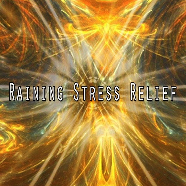 Couverture de Raining Stress Relief