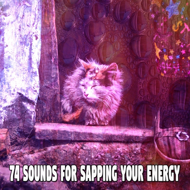 Couverture de 74 Sounds For Sapping Your Energy