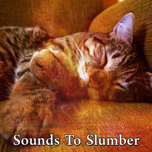 Sounds To Slumber