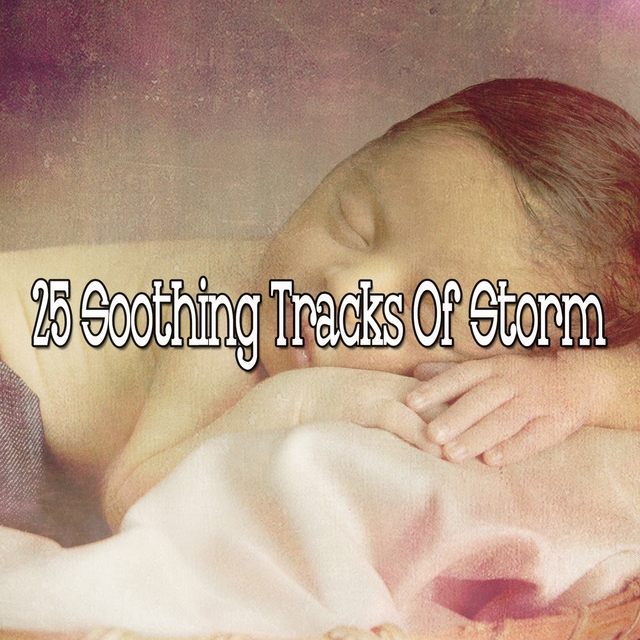 Couverture de 25 Soothing Tracks Of Storm