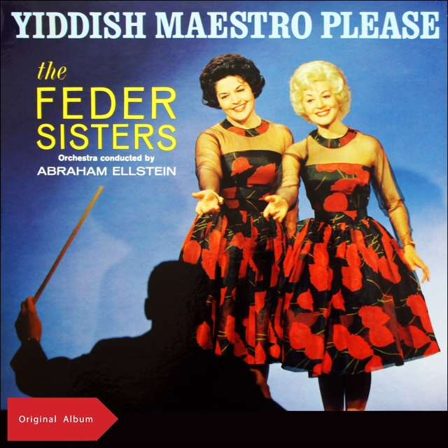 Couverture de Yiddish Maestro Please