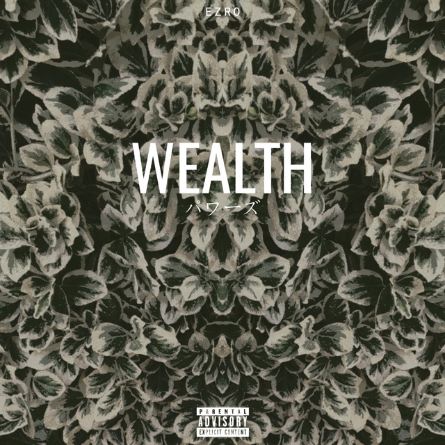 Couverture de Wealth