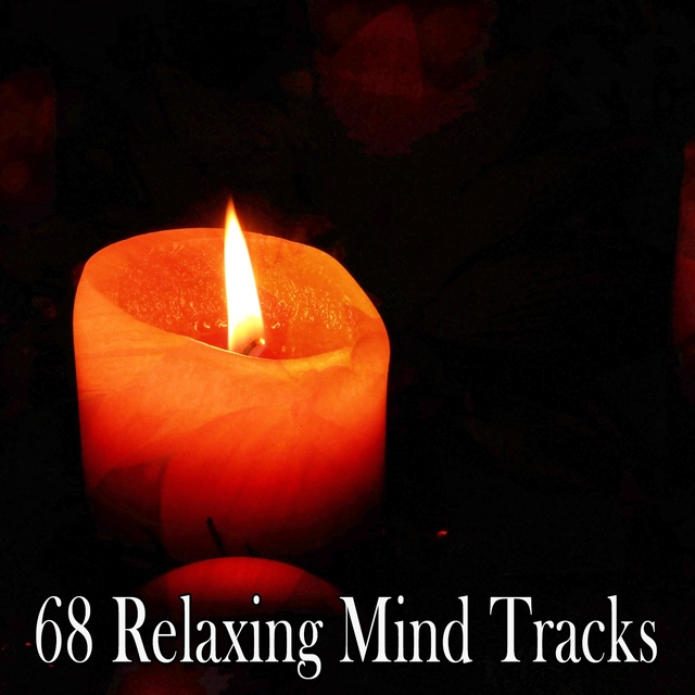 68 Relaxing Mind Tracks