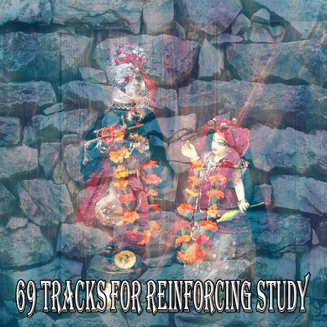 69 Tracks For Reinforcing Study