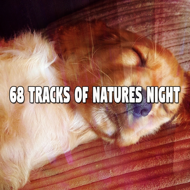 Couverture de 68 Tracks Of Natures Night