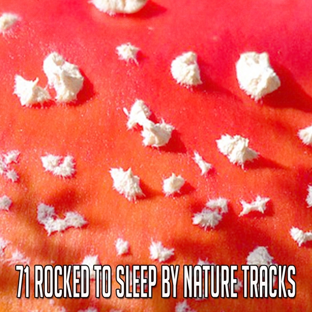 Couverture de 71 Rocked To Sleep By Nature Tracks