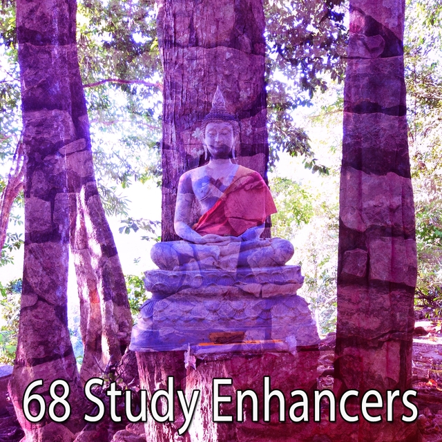 Couverture de 68 Study Enhancers