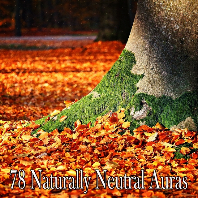 Couverture de 78 Naturally Neutral Auras