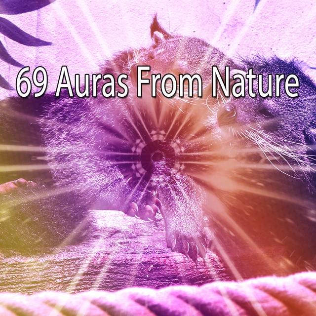 Couverture de 69 Auras From Nature