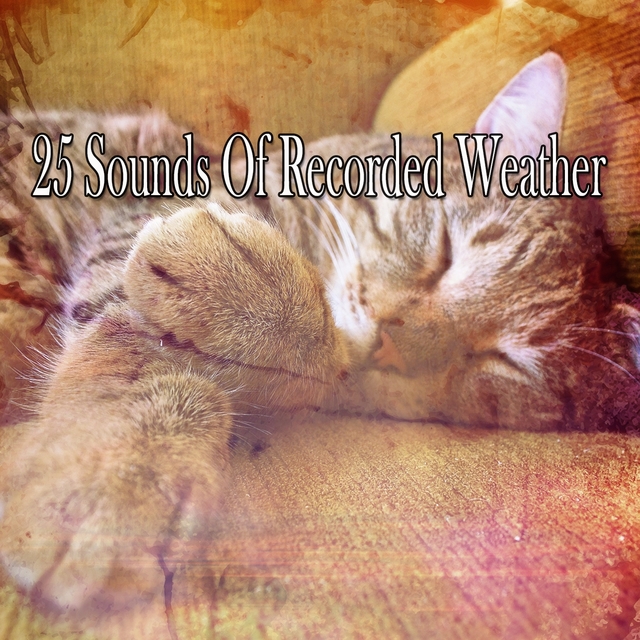 Couverture de 25 Sounds Of Recorded Weather