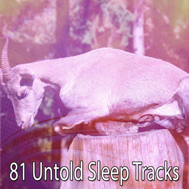 81 Untold Sleep Tracks