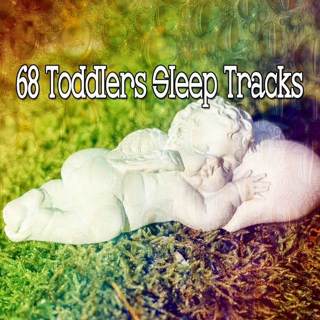 Couverture de 68 Toddlers Sleep Tracks