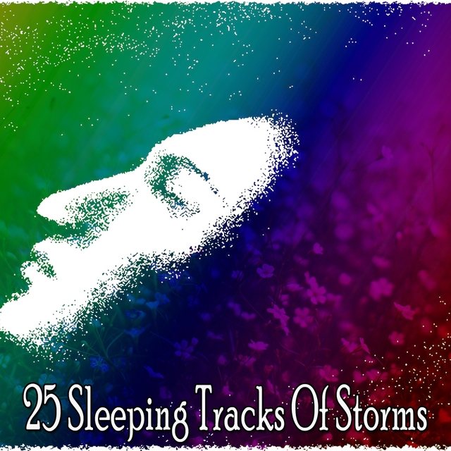 Couverture de 25 Sleeping Tracks Of Storms