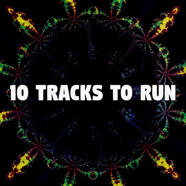 Couverture de 10 Tracks To Run