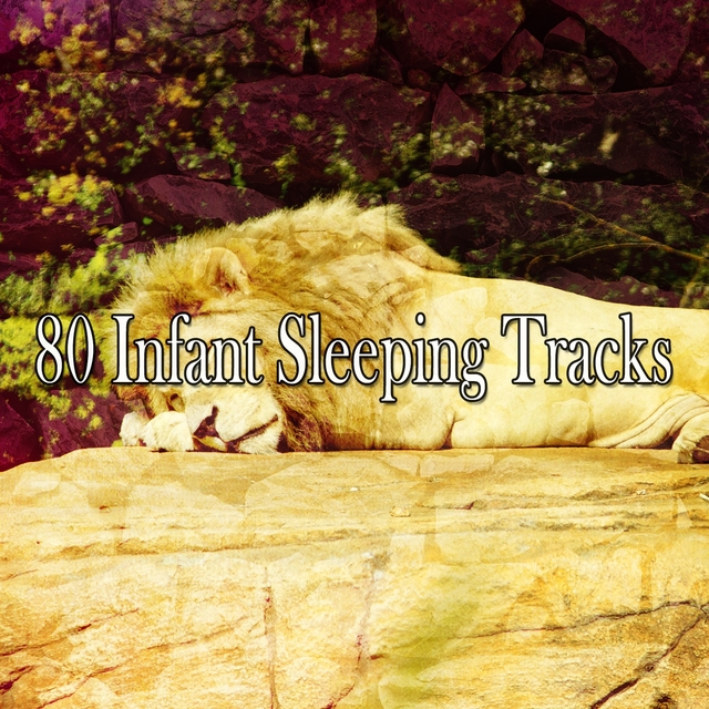 Couverture de 80 Infant Sleeping Tracks