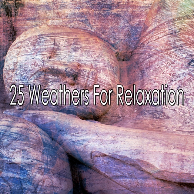 Couverture de 25 Weathers For Relaxation