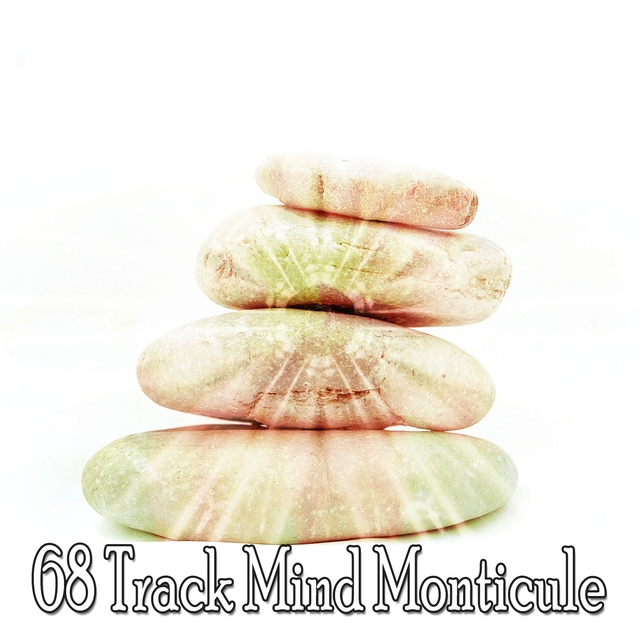 Couverture de 68 Track Mind Monticule