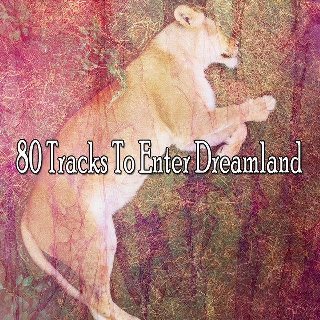 Couverture de 80 Tracks To Enter Dreamland