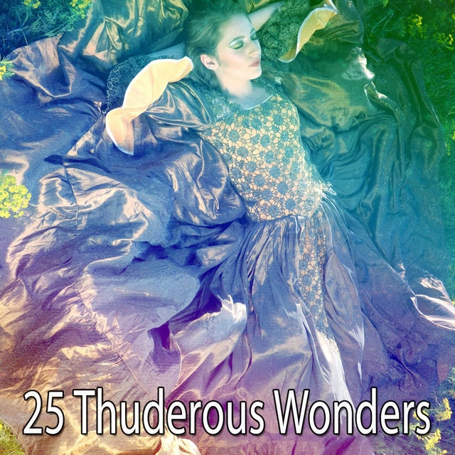 Couverture de 25 Thuderous Wonders