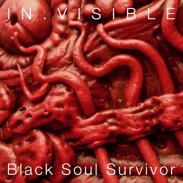 Couverture de Black Soul Survivor