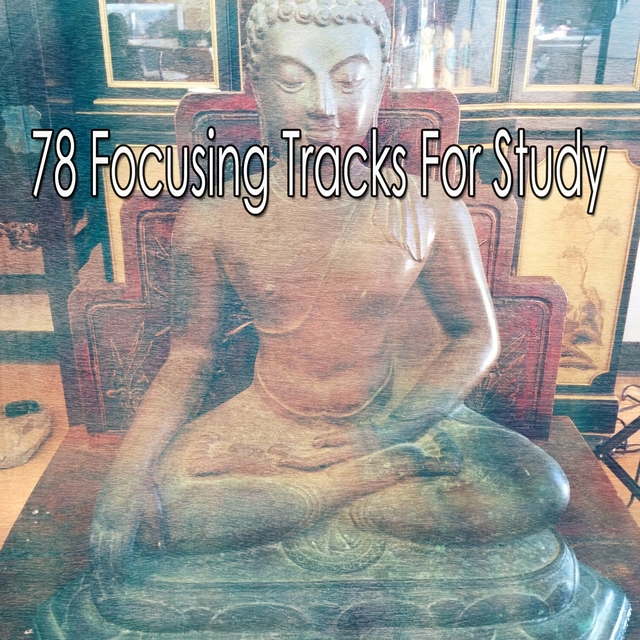 78 Focusing Tracks For Study