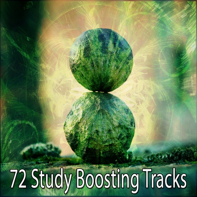 Couverture de 72 Study Boosting Tracks